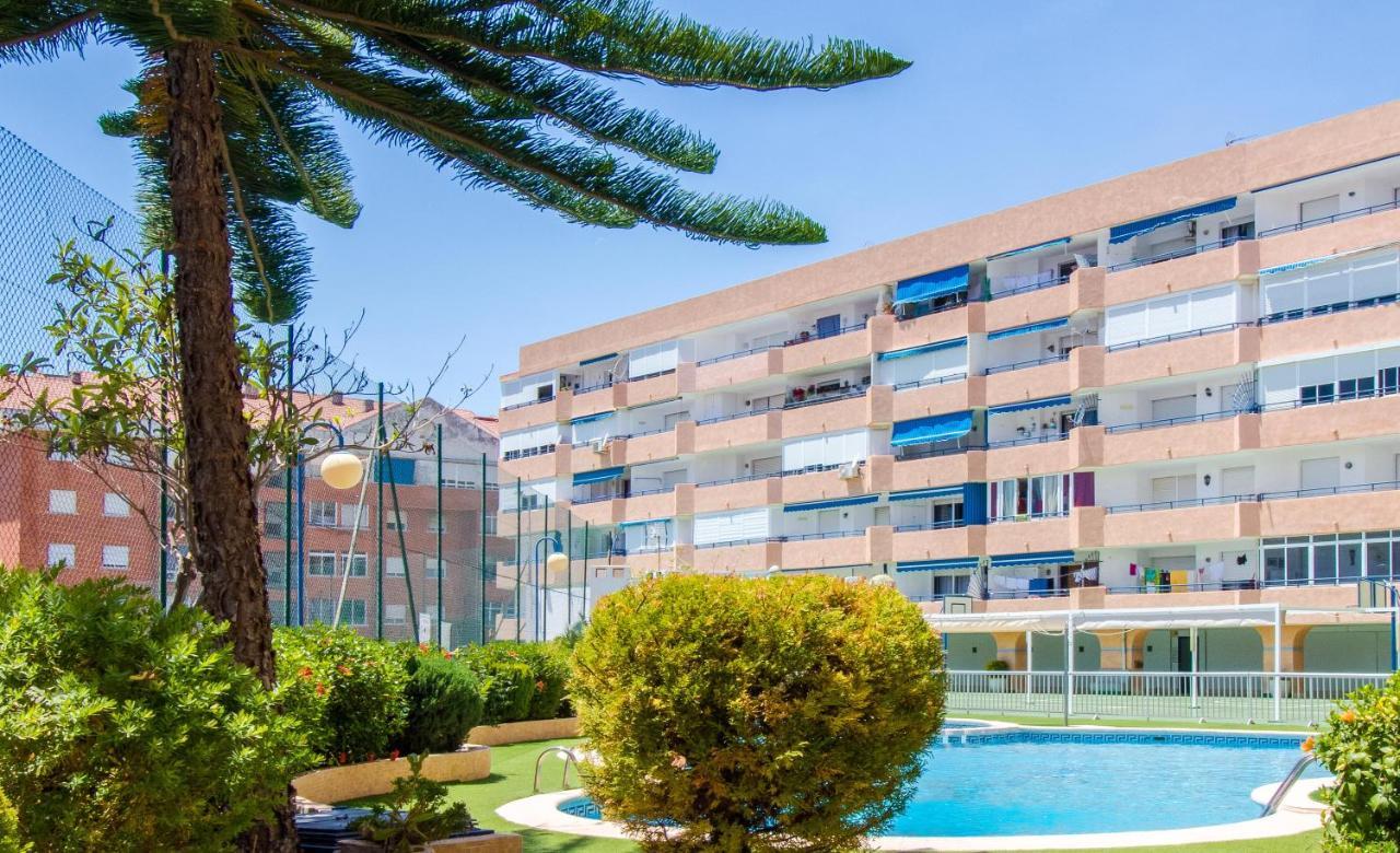 Espanatour AMELIE Torrevieja Extérieur photo